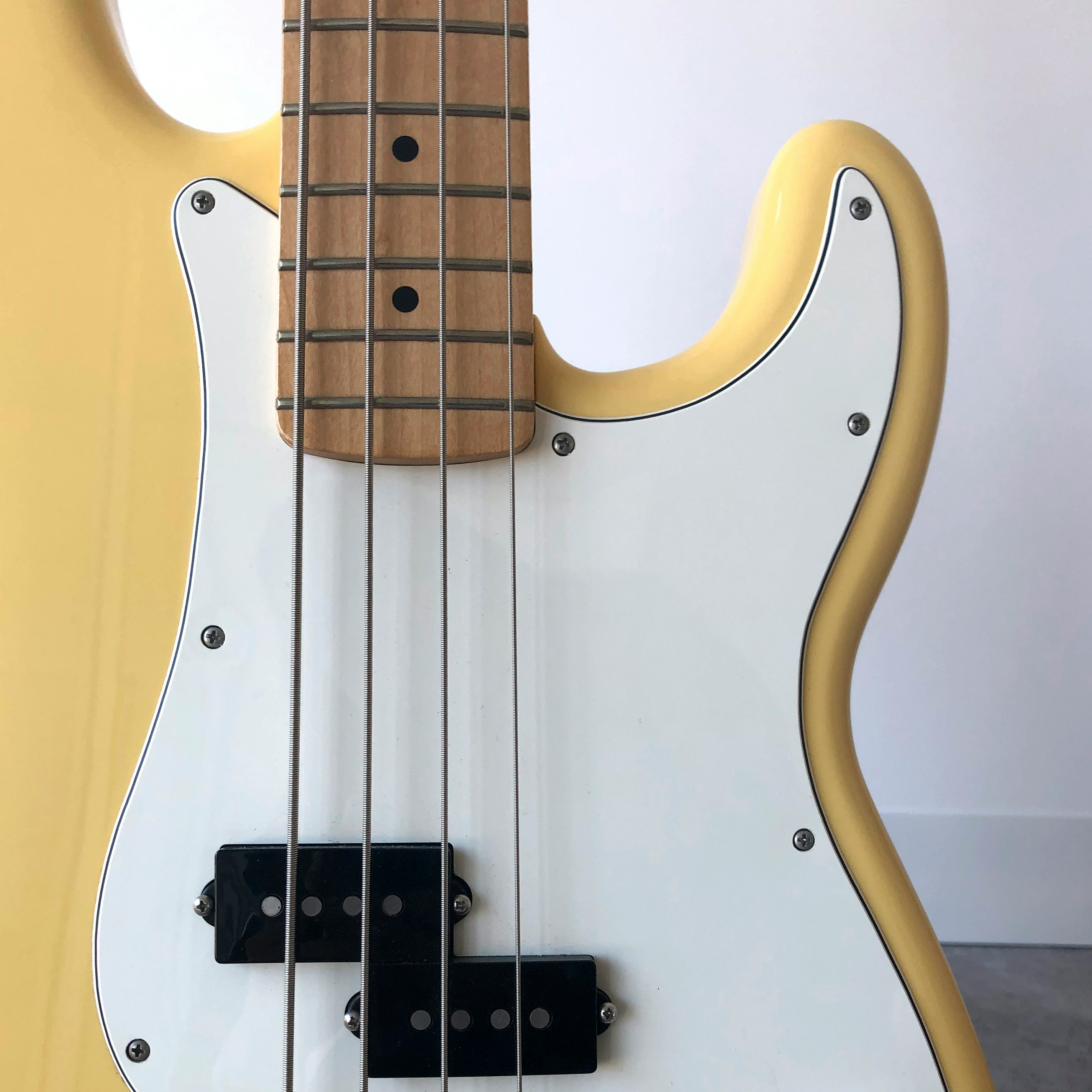 beautiful bass guitar
